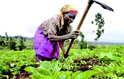 Women Farmers Secure Grants, Loans